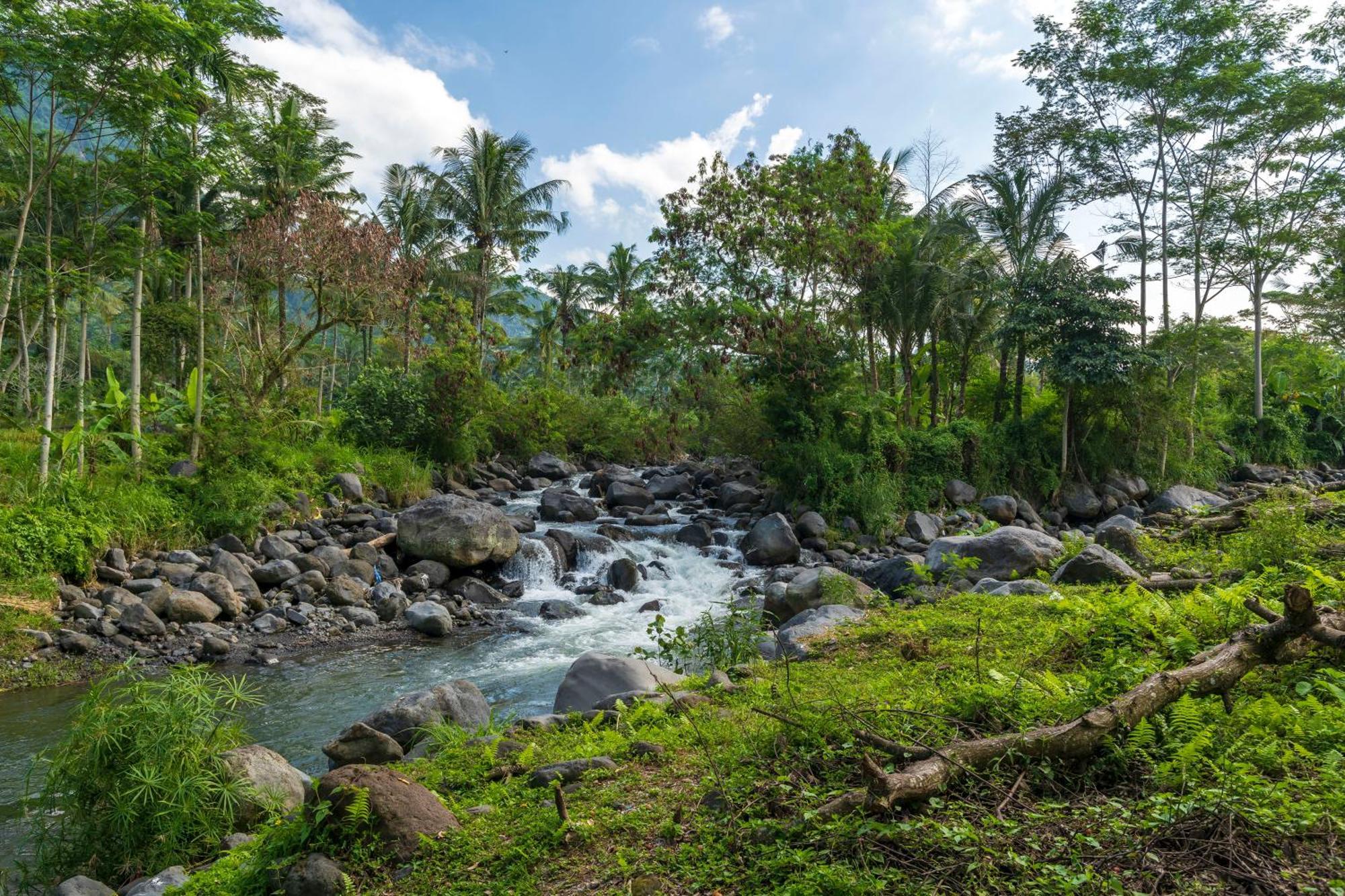 วาปา ดิ อูเม ซิเดเมน Hotel ซิเดอมัน ภายนอก รูปภาพ The river in the village of Kupapah