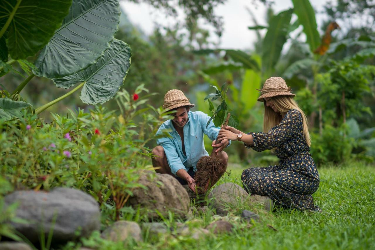 วาปา ดิ อูเม ซิเดเมน Hotel ซิเดอมัน ภายนอก รูปภาพ A farmer and a volunteer in the garden of the Green Village